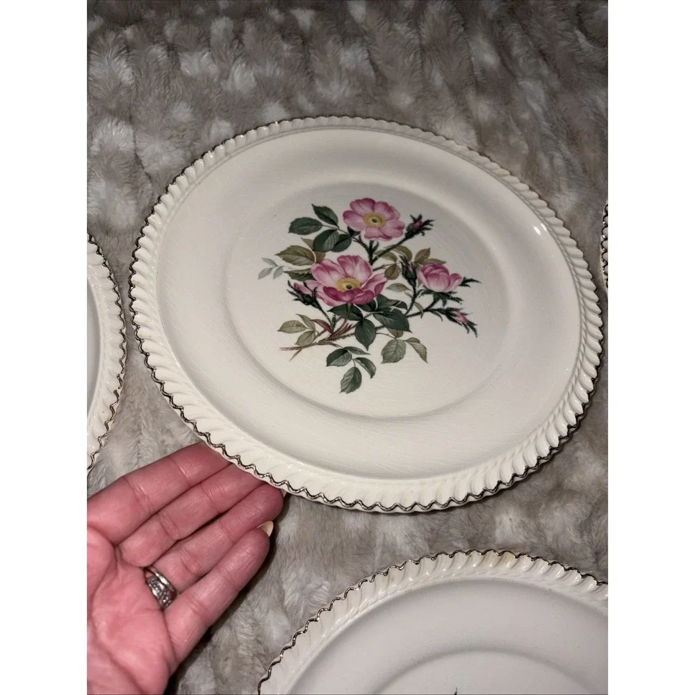Harker Pottery Co. 22 kt gold  Wild Rose (Royal Gadroon) Dinner Plate Lot Of 6